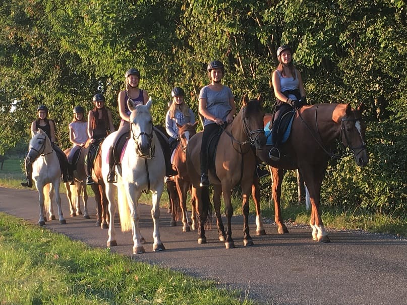 Reitgruppe auf den Pferden des Reiterhofs vor dem Welzheimer Wald